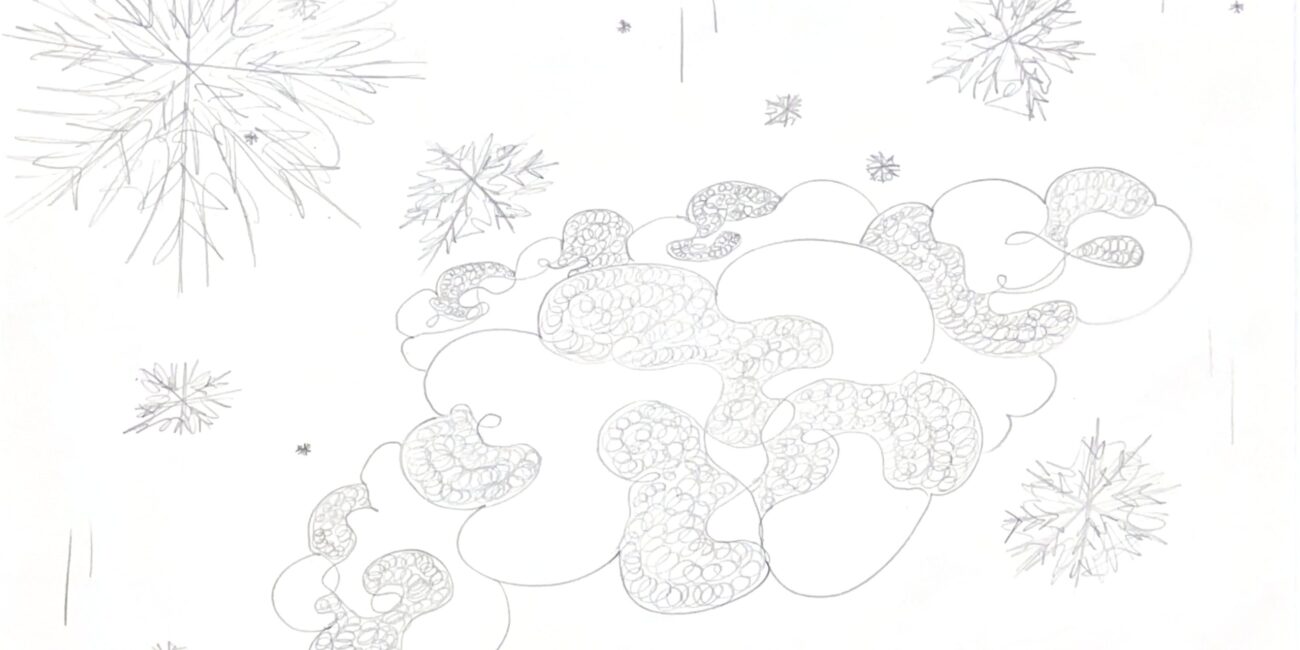 Documenti scansionati (25)_page-0001